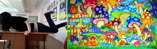 кокс Михайловск