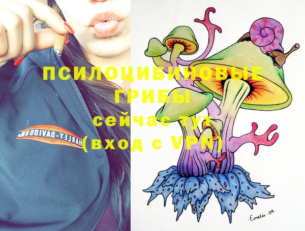 кокс Михайловск